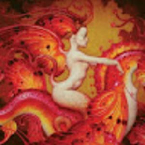 Meet your Posher, Tasha